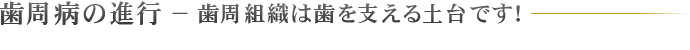 歯周病の進行 − 歯周組織は歯を支える土台です！