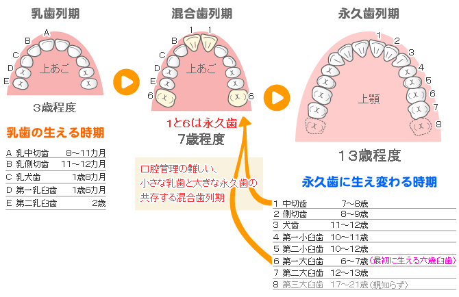 子どもの口腔環境