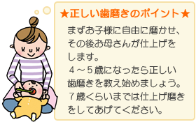 正しい歯磨きのポイント