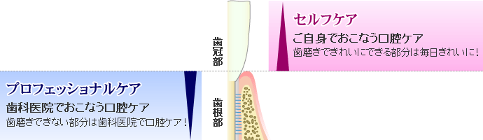 セルフケアとプロフェッショナルケア