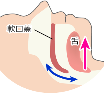 正常な睡眠